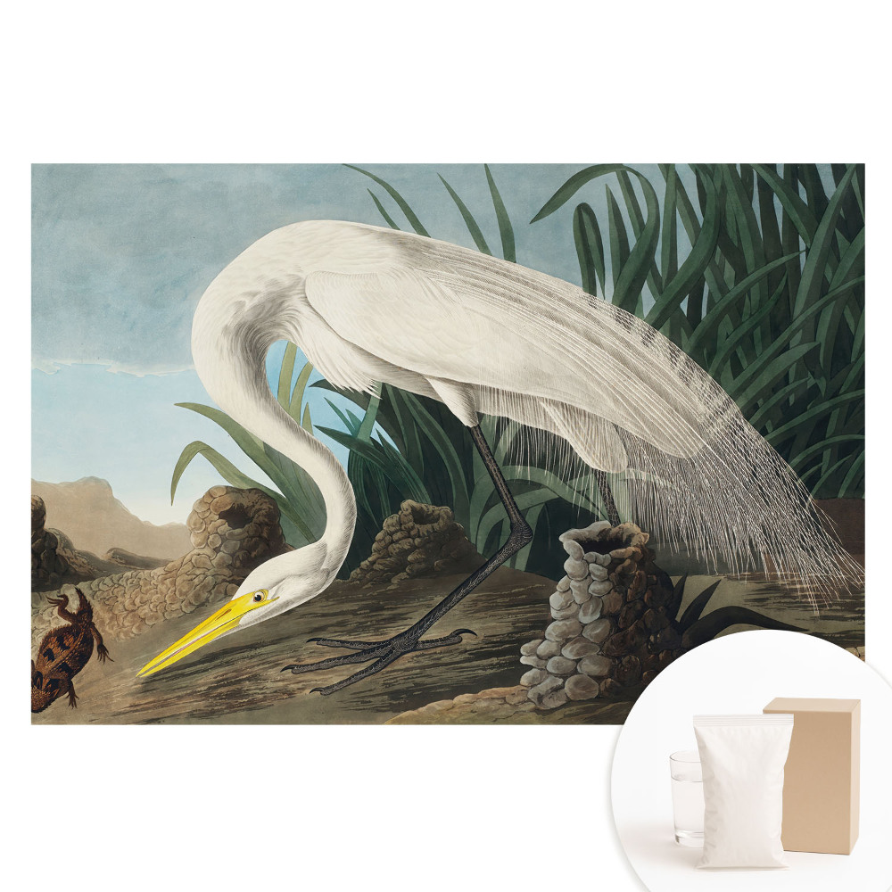 Nem szőtt tapéta Egy gém a fűben