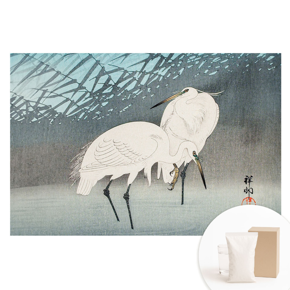 Nem szőtt anyagra nyomtatott fotótapéta Hagyományos madarak elegancia részlet víz béke