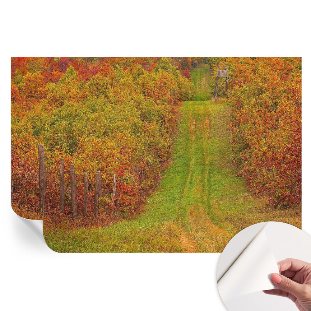 Öntapadós fotótapéta Őszi színek