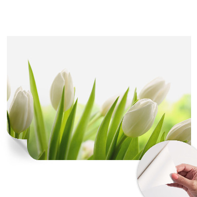 Öntapadós fotótapéta fehér tulipánok mintával