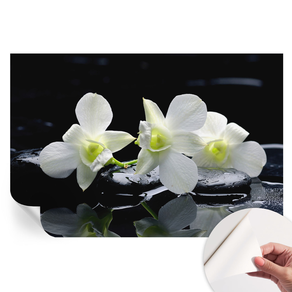 Öntapadós falfestmény Virágok és kövek