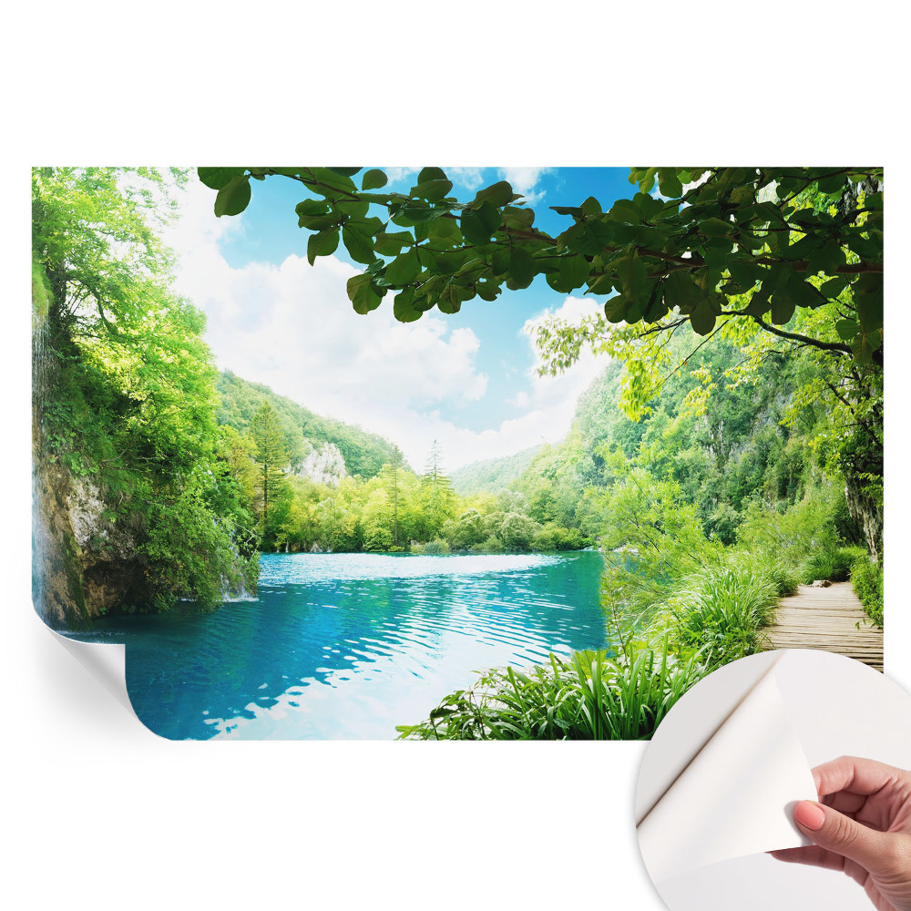 Öntapadós falfestmény Természetes oázis