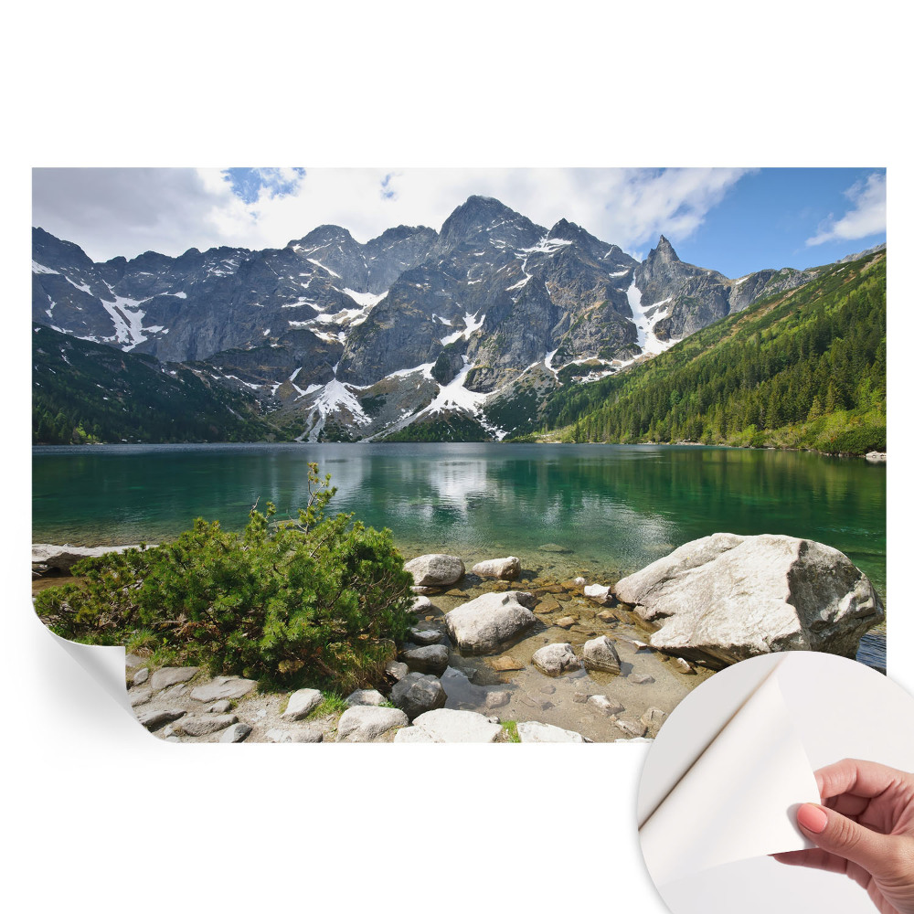 Öntapadós falfestmény Hegyi tó