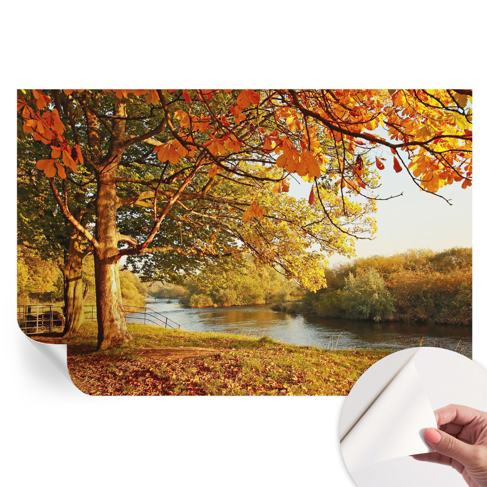 Modern fotótapéta a nappaliba Ősz a tengerparton