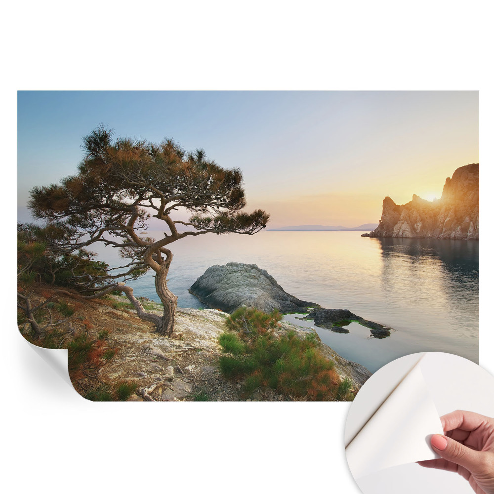 Öntapadós fotótapéta Békés természet