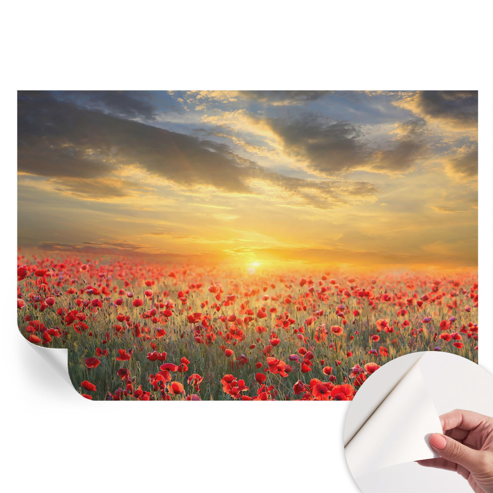 Öntapadós fotótapéta a hálószobába Pipacsmező