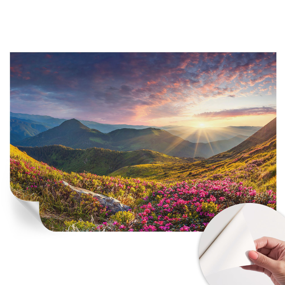 Öntapadós tapéta a nappaliba Hegyi panoráma