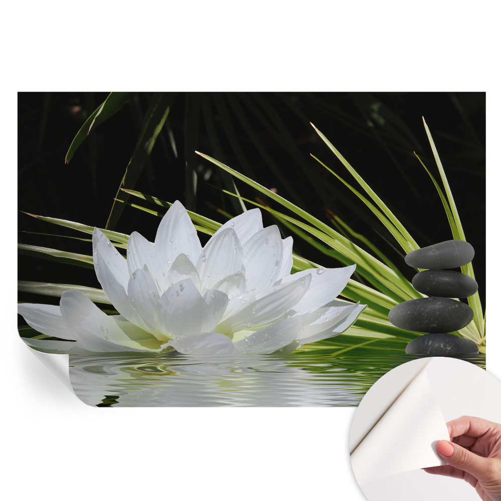Öntapadós fotótapéta Liliom meditáció
