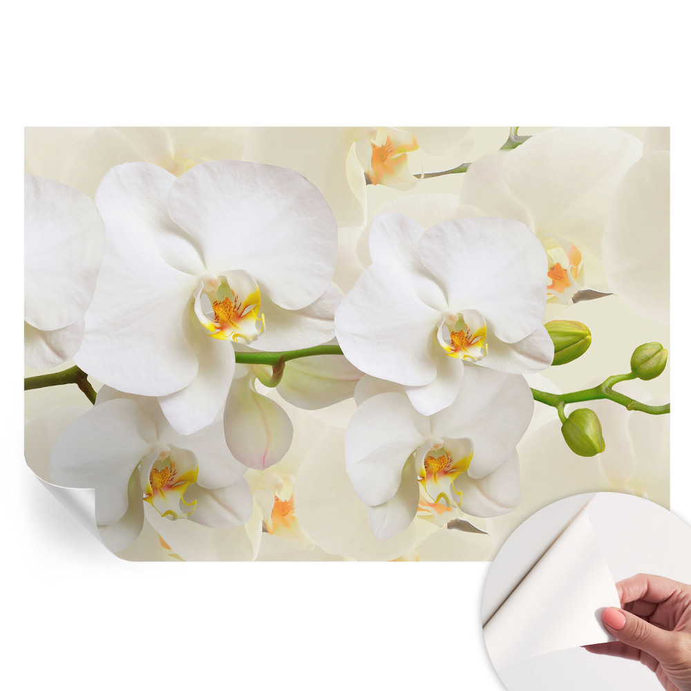 Öntapadós fotótapéta Virágos gazdagság