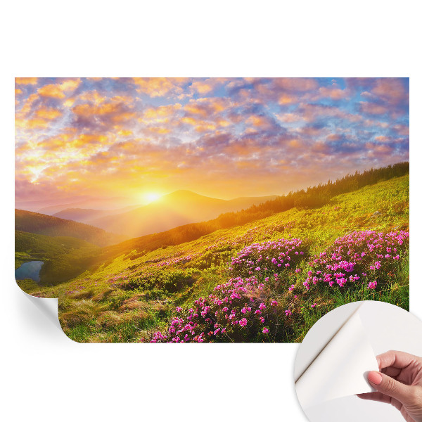 Modern fotótapéta a nappaliba Hegyi Nyugat