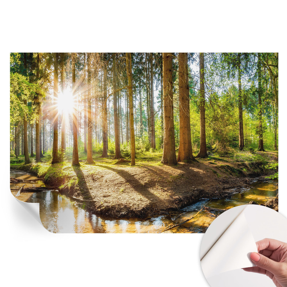 Öntapadós fotótapéta a hálószobába Erdei idill