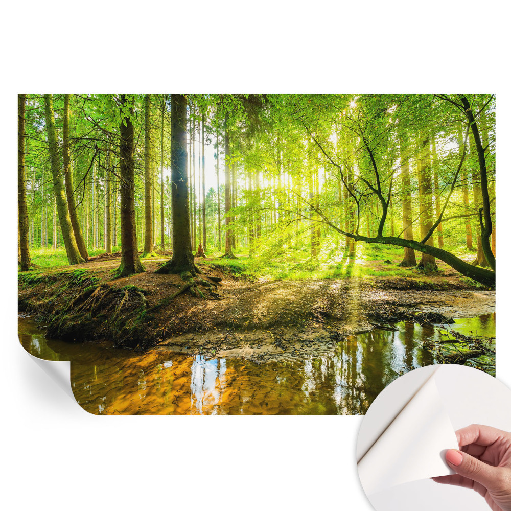 Öntapadós tapéta a nappaliba Zöld táj