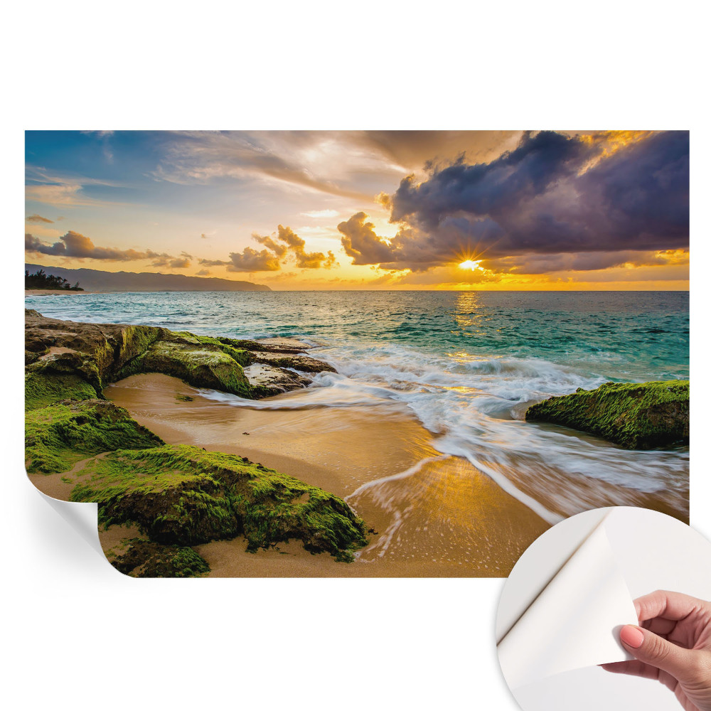 Öntapadós falfestmény Tengeri harmónia