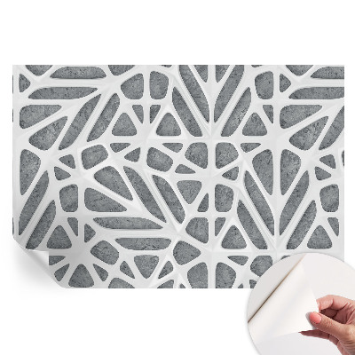 Öntapadós falfestmény Geometriai hálózat