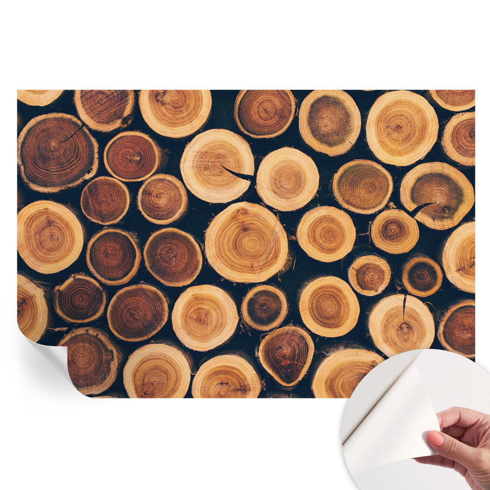 Öntapadós fotótapéta a hálószobába Fa körök