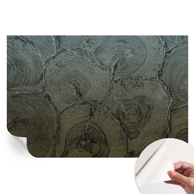 Öntapadós tapéta a nappaliba Fa gyűrűk