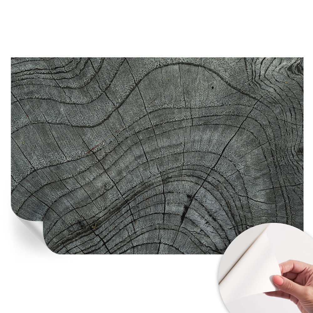 Modern fotótapéta a nappaliba Szemcsés minta