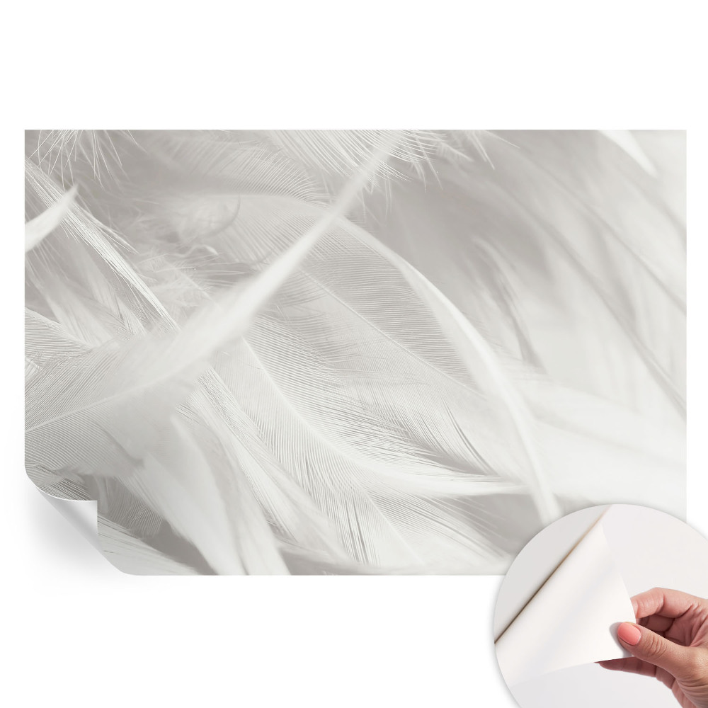 Modern fotótapéta a nappaliba Finom tollak