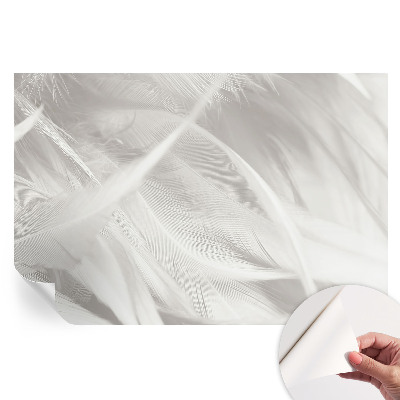 Modern fotótapéta a nappaliba Finom tollak