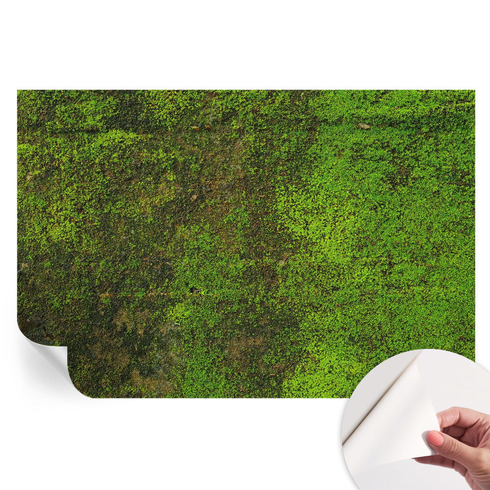 Öntapadós fotótapéta a hálószobába Zöld szőnyeg