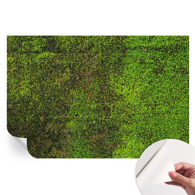 Öntapadós fotótapéta a hálószobába Zöld szőnyeg