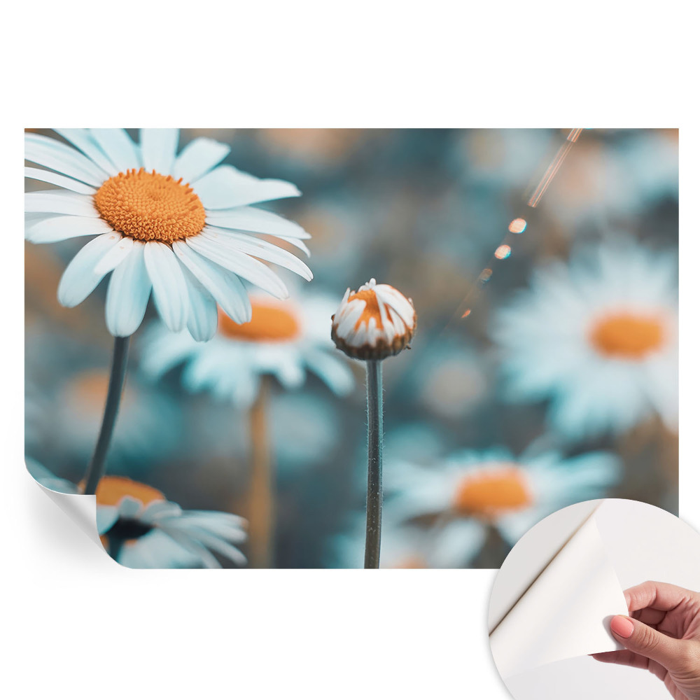 Öntapadós falfestmény Kamilla finomság