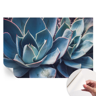 Öntapadós tapéta a nappaliba Zöld aloe vera