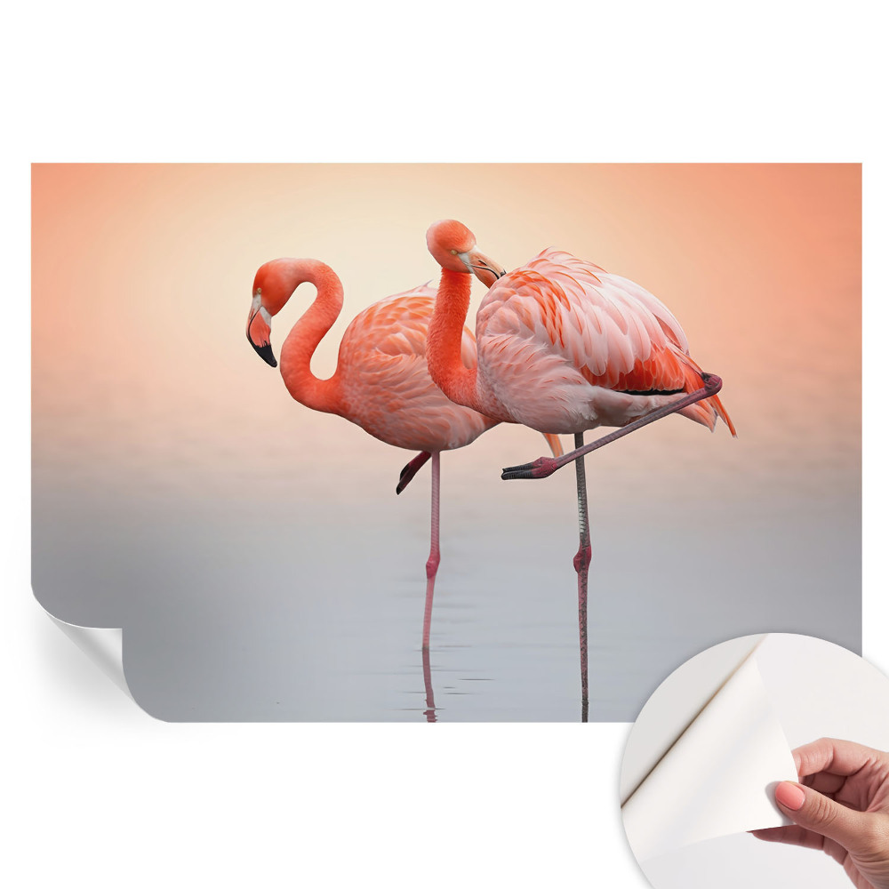 Modern fotótapéta a nappaliba Finom flamingók