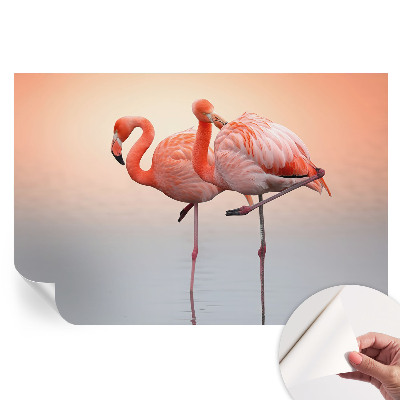 Modern fotótapéta a nappaliba Finom flamingók