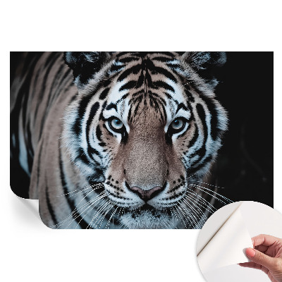 Modern fotótapéta a nappaliba Tigris portré