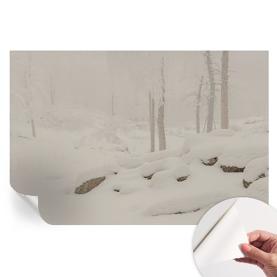 Öntapadós tapéta a nappaliba Havas erdő