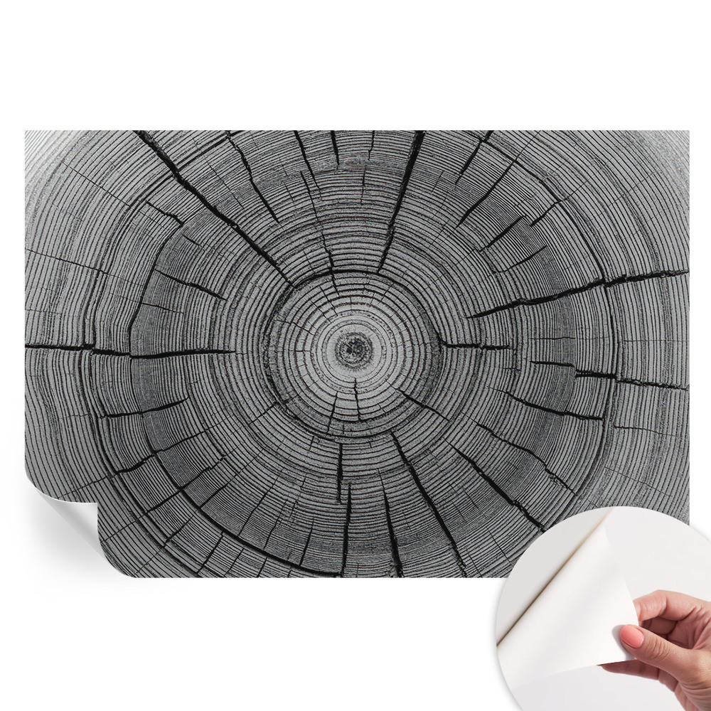 Öntapadós fotótapéta Erdő harmóniája