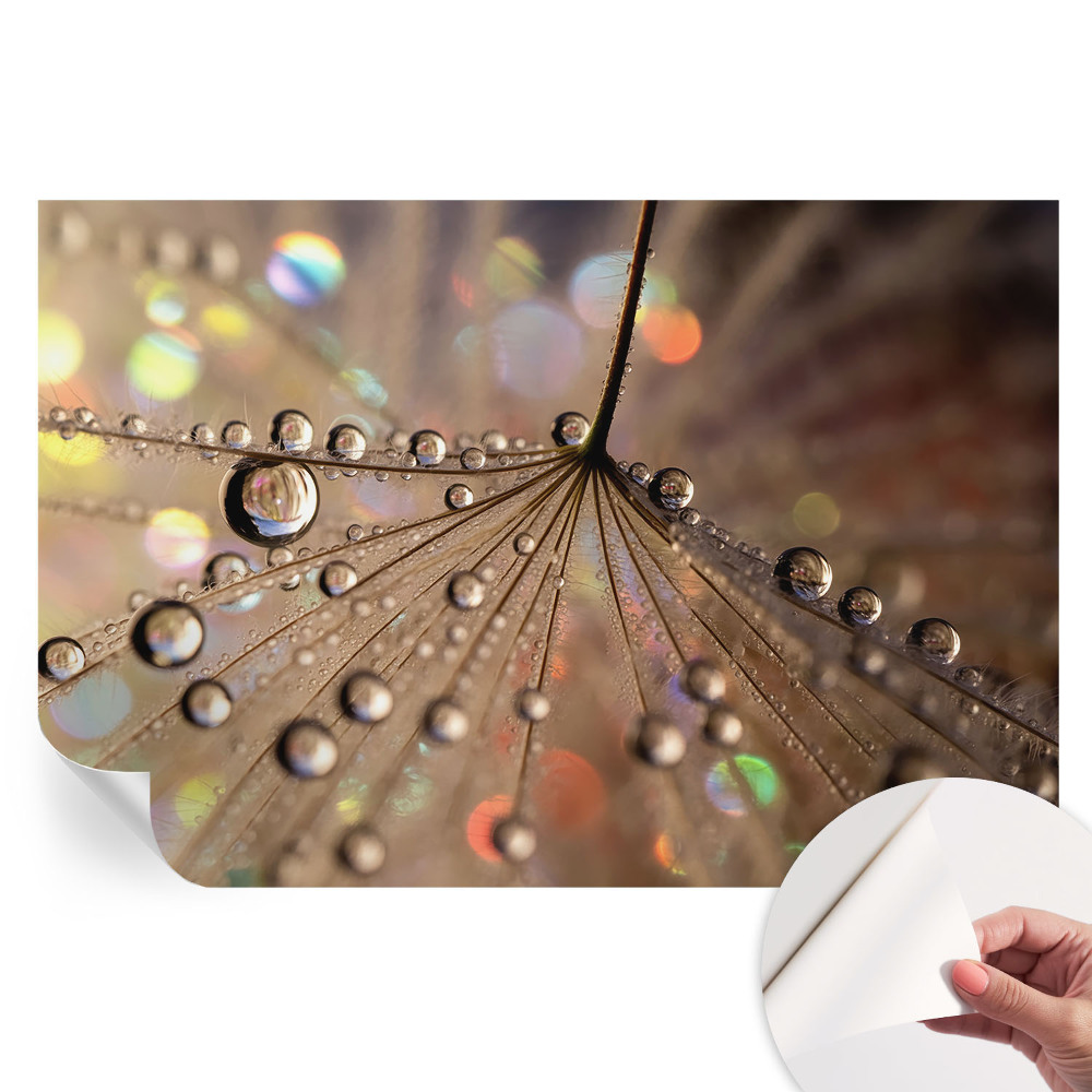 Modern fotótapéta a nappaliba Gyöngycseppek