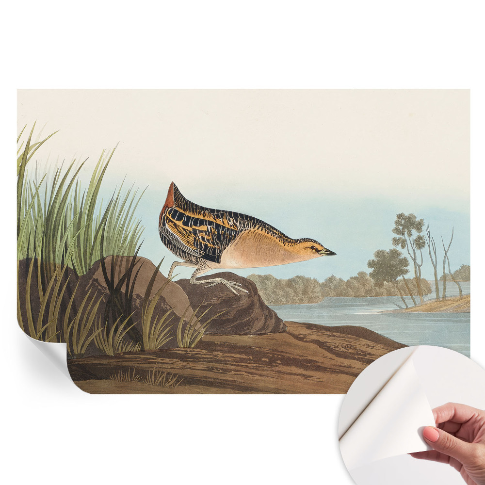 Öntapadós tapéta a nappaliba Természetes jelenet