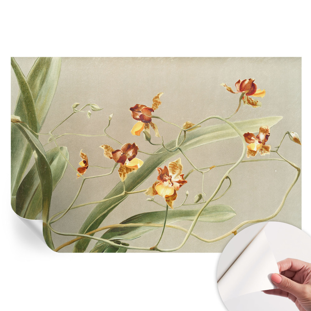 Klasszikus orchidea mintás öntapadós tapéta nappaliba
