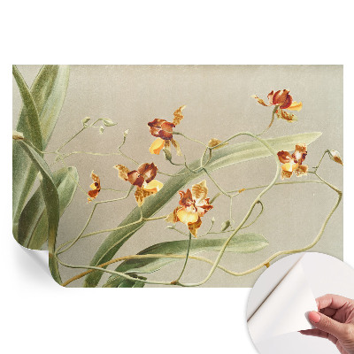 Klasszikus orchidea mintás öntapadós tapéta nappaliba