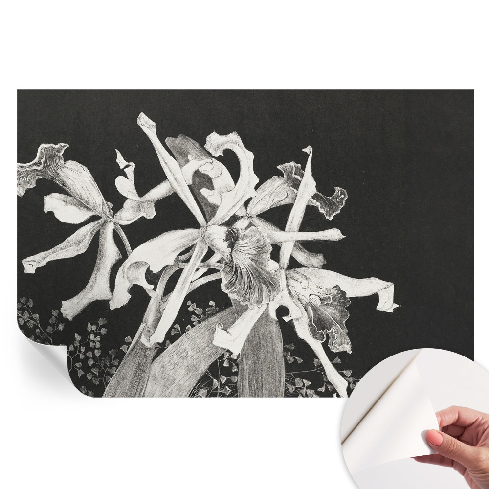 Orchidea illusztráció mintás öntapadós falfestmény