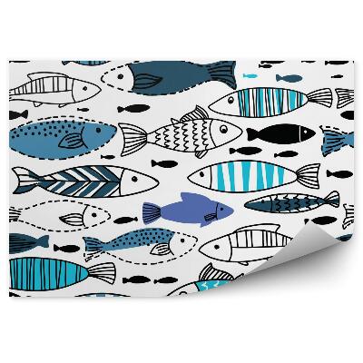 Fotótapéta A halak víz alatti világa