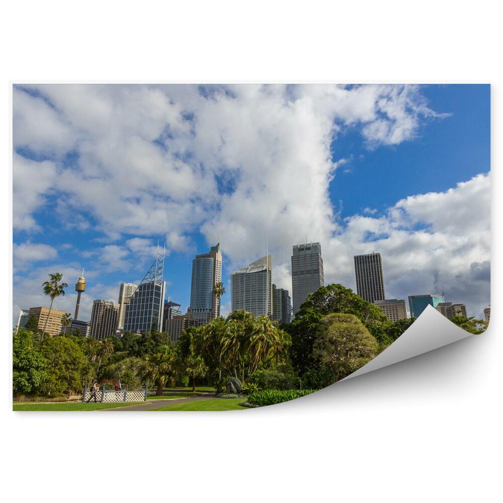 Öntapadós fotótapéta Sydney park fák város építészet