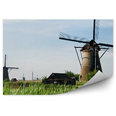 Fotótapéta Zöld fű hagyományos falusi szélmalmok