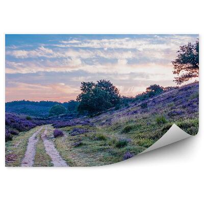 Poszter tapéta Földút dombok és mocsarak között