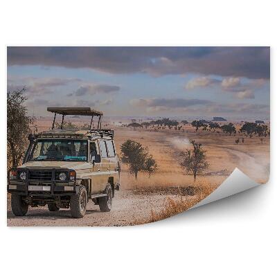 Modern fotótapéta Füst por homok utazási szafari felhős égbolt