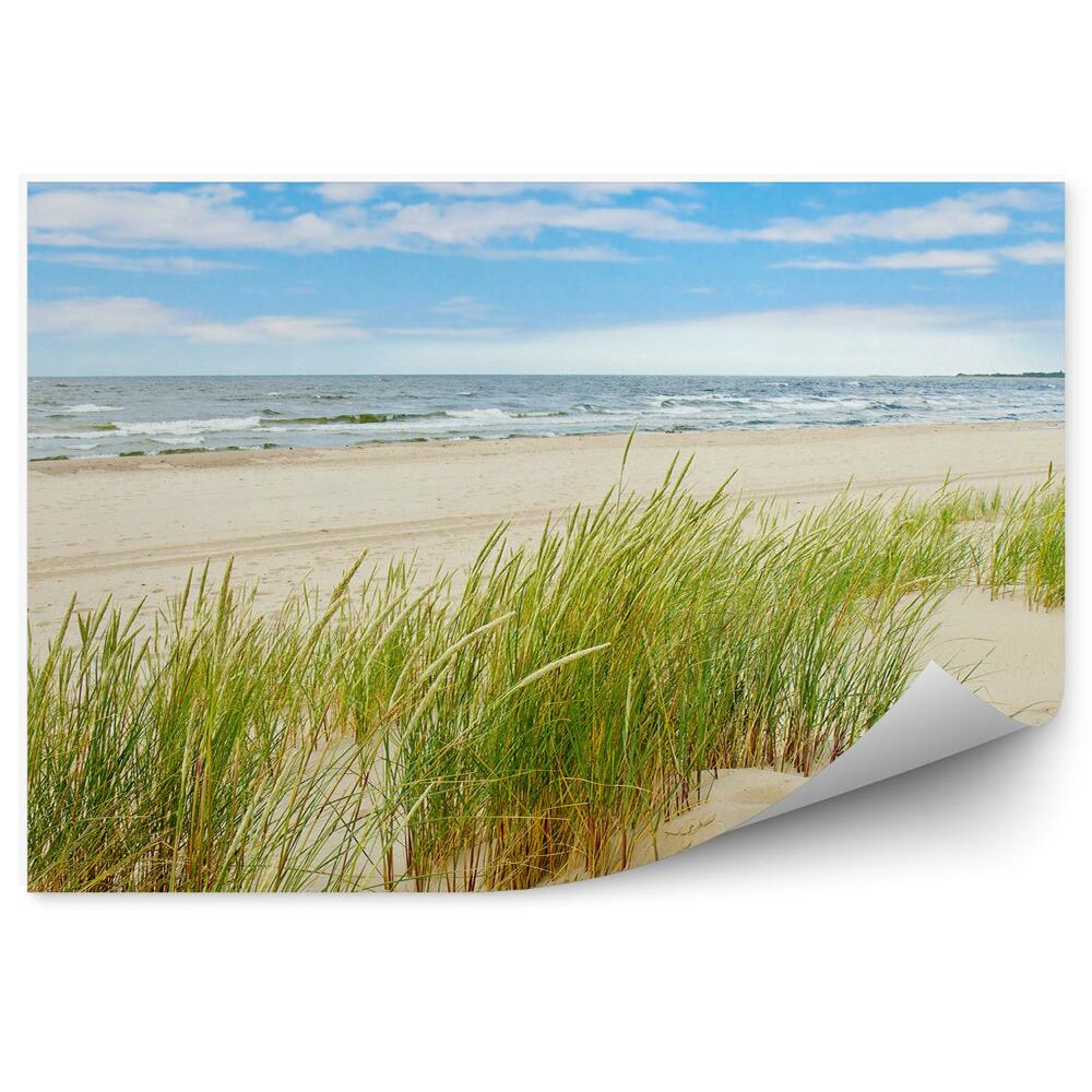 Fotótapéta dűne fű strand Lengyelország Balti-tenger