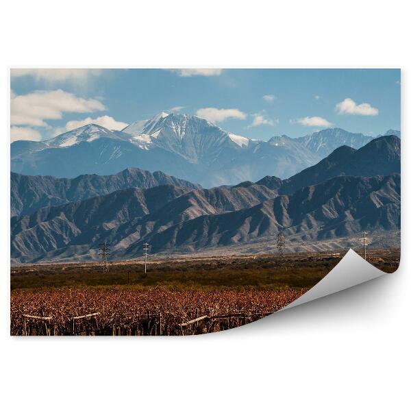 Öntapadó fotótapéta Aconcagua vulkán szőlőskert argentina égbolt felhők hó