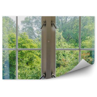 Öntapadós fotótapéta Fák erdei természet zöld az ablakon