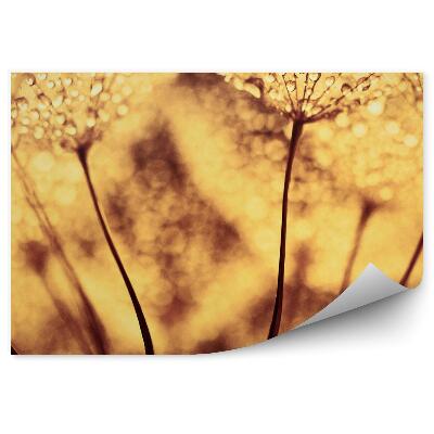 Öntapadós fotótapéta Fúvó harmatcseppek szepia