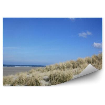 Öntapadós fotótapéta falra Óceán dűnék strand fű terschelling sziget égbolt felhők