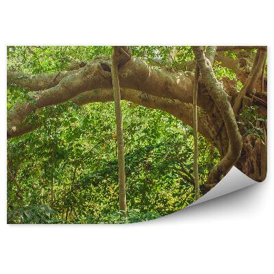 Fotótapéta India dzsungel fa levelek
