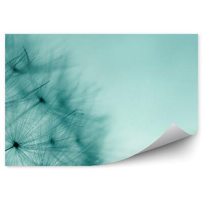 Fotótapéta Gyermekláncfű magvak