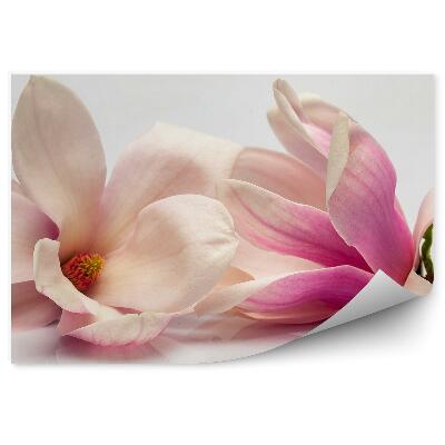 Poszter tapéta Rózsaszín magnólia szürke növényi háttér